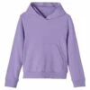 NAME IT Regular Fit - Hoodie - Sand Verbena
