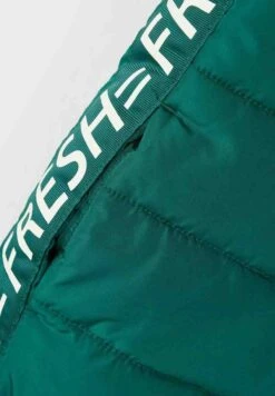 NAME IT Puffer - Bodywarmer - Forest Biome -NAME IT Winkel 12d43b2f4bb04ca8bdb6ffc5ed09934f