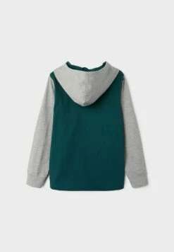 NAME IT Regular Fit - Hoodie - Sea Moss 5 NAME IT Regular Fit - Hoodie - Sea Moss -NAME IT Winkel 3f2e1755a6e34eecba02431d35d20640