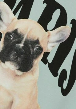 NAME IT Regular Fit - Sweater - Surf Spray -NAME IT Winkel 4f63ec6ae1eb47b2b65e197ff64c6d36