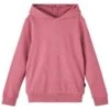 NAME IT Nmfradidde Ls - Hoodie - Light Pink