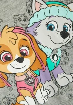 NAME IT Paw Patrol - Sweater - Grey Melange -NAME IT Winkel 65d1eb5d65444719ad1f7e06f8fb9917