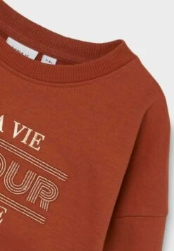 NAME IT Regular Fit - Sweater - Arabian Spice 6 NAME IT Regular Fit - Sweater - Arabian Spice -NAME IT Winkel 94f4ad6c19d8480e8977b891c669f893