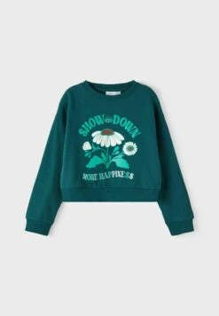 NAME IT Regular Fit - Sweater - Sea Moss -NAME IT Winkel a2d69e7443464d289162c5bda3351016