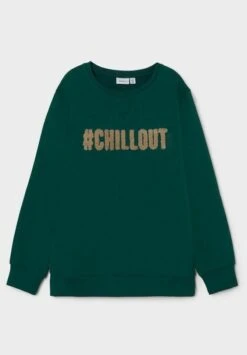 NAME IT Regular Fit - Sweater - Forest Biome -NAME IT Winkel d031d6e64cda4fb7a72801dcde40aeb8