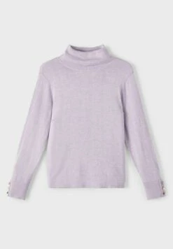 NAME IT High Neck - Trui - Orchid Petal -NAME IT Winkel de047f31aa334f32b5f999cb7c38e5e3